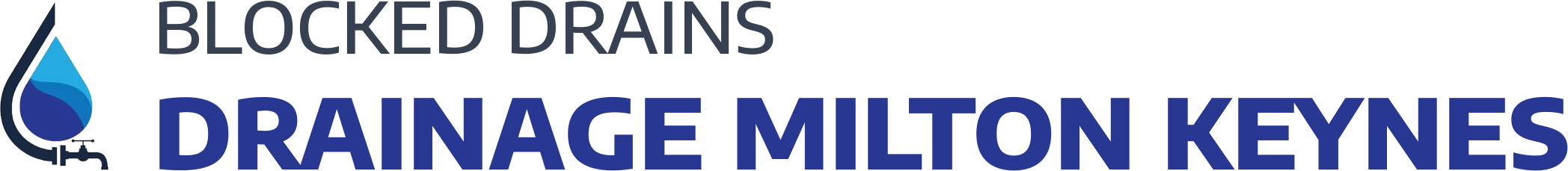 website logo